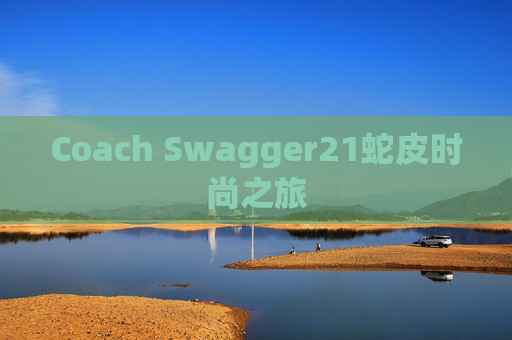 Coach Swagger21蛇皮时尚之旅