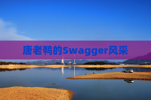 唐老鸭的Swagger风采